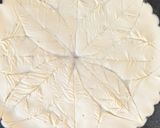 🍎アップルパイ🥧作り方12写真