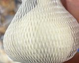 良い白ニンニクの選び方作り方1写真