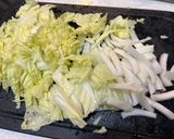 白菜と豚ひき肉の中華風炒め煮作り方1写真