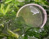 ほうれん草と豆もやしのナムル作り方6写真