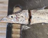 太刀魚の炊き込みご飯作り方2写真