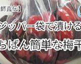 【保存版】ジップロックで作る簡単な梅干し☆ゆかり作り方16写真