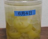 キーウイリキュール作り方2写真