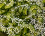 ゴーヤチャンプル　豆腐無し作り方3写真