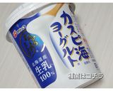 発酵器要らず❇️毎日のヨーグルトライフ作り方1写真