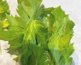 セロリの明太マヨ和え作り方1写真