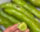 新玉ねぎとそら豆のかき揚げ作り方2写真