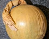 カラダ想いの減塩ビストロ無水ハヤシ作り方2写真