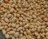 1日で作る炊飯器とオーブン発酵自家製味噌作り方3写真
