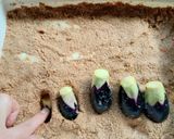 ぬか漬け (色々な野菜)作り方5写真