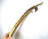 イタドリの天ぷら&皮茶&油炒め作り方1写真