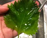 保存版✅大葉の保存方法|冷蔵・冷凍で簡単長持ち作り方2写真