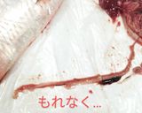 春告魚♬ニシンの下処理♬尾頭付き➕️寄生虫作り方17写真