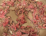牛肉と紫たまねぎのレモンマリネ作り方3写真