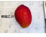 簡単♪食べやすいマンゴーの切り方作り方1写真