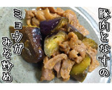 豚肉となすのミョウガみそ炒め★動画あり★作り方19写真