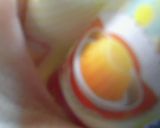 オレンジゼリー作り方2写真
