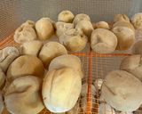 梅干し作り方5写真