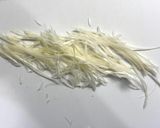 白髪ネギ♪プロの作り方作り方3写真