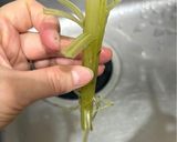 初心者🔰向け！ふきの下処理と保存方法作り方5写真