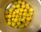 わが家流梅干し作り方5写真