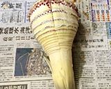 ★簡単たけのこの冷蔵保存　塩水保存３ヶ月作り方2写真