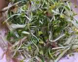 たっぷり薬味でサッパリめんつゆ豚しゃぶ作り方2写真