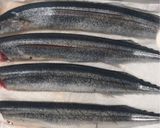 生秋刀魚の下処理♪簡単な内臓の取り方🐟作り方9写真