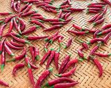 赤唐辛子🌶️は、排水口ネットde冷蔵庫乾燥が1番❣️作り方1写真