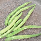 まろやかないんげんのごま和え【作り置き】作り方1写真