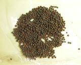 無添加　プロが作るスパイスドライカレー作り方12写真