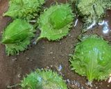 大葉がサクサク！大葉ご飯🍚作り方1写真