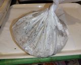 アンコウの唐揚げ作り方3写真