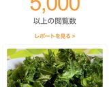 わが家のサクサクケールチップス作り方8写真