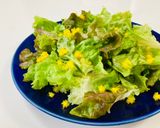 本物のミモザサラダ￼作り方2写真