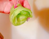 ロールキャベツ作り方4写真
