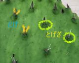サボテンの下処理＆保存方法作り方1写真