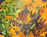 簡単お弁当おかず☆ピーマンとにんじんの塩昆布炒め作り方3写真