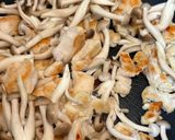 鶏むねとキャベツ・しめじのカレー醤油炒め作り方5写真