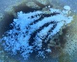 カリカリ🍞シュガートースト作り方1写真