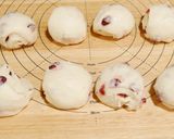 【発酵種】ヨーグルト種クランベリーパン作り方18写真