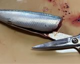 イワシの手開きのやり方（動画あり）作り方2写真