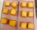 フードドライヤーでトリュフ香る豆腐漬け作り方9写真