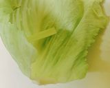 【ハムチーくるくるキャベツ】お弁当おかず作り方2写真