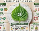 豚の冷しゃぶ丼・香味ネギと大根おろし添え作り方11写真