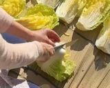 母直伝 自家製白菜漬け作り方2写真