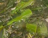 美味しい!!☆生わかめとかつお節の煮物☆作り方1写真