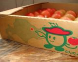 生トマト～今使う分だけのトマトソース作り作り方10写真