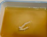 高野豆腐をライスペーパーで巻きました作り方2写真