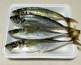 鯵のアクアパッツァ風作り方1写真